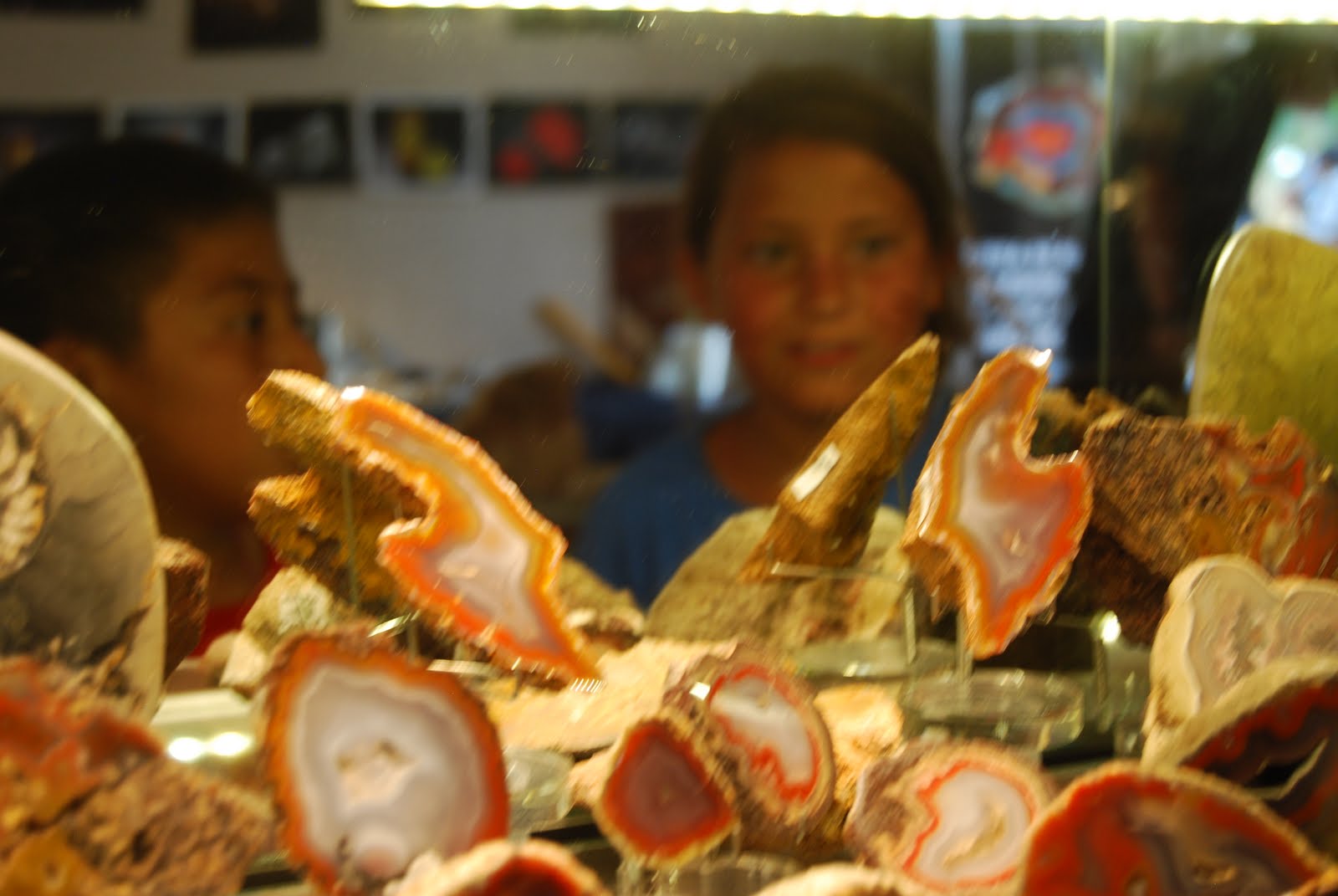 Kids looking at rocks through glass